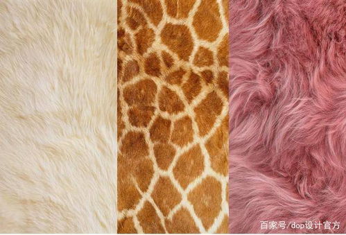 什么是材質 該如何用