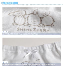 盛哲卡 女童純棉內(nèi)褲 6個月 3歲女童三角內(nèi)褲 2條裝 l1066